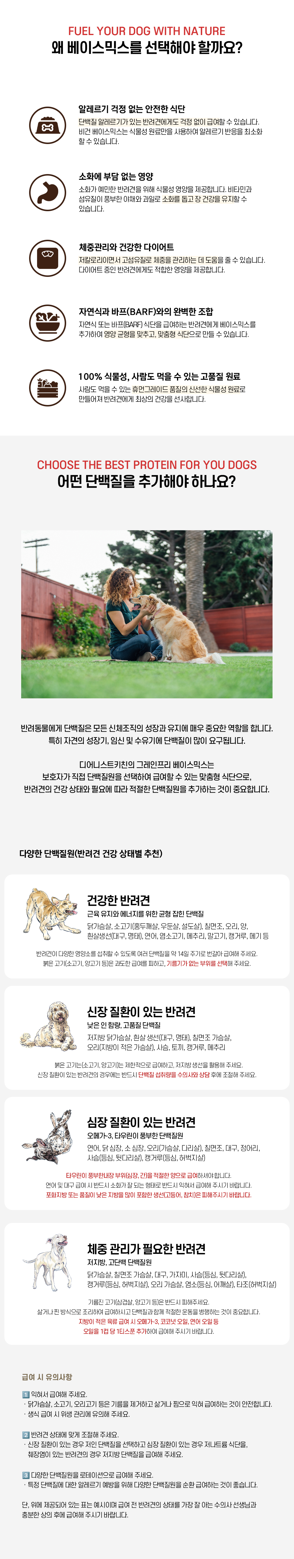 GF 베이스믹스_04.jpg