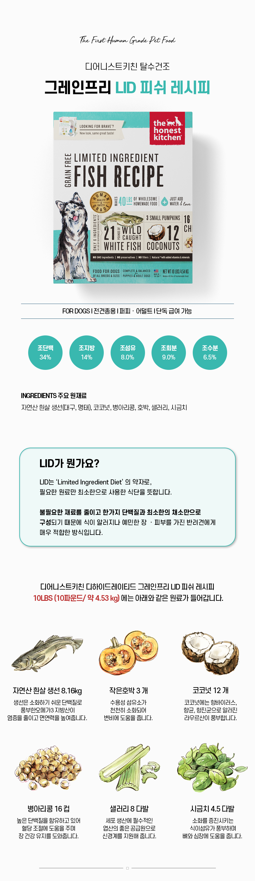 LID 피쉬_02.jpg